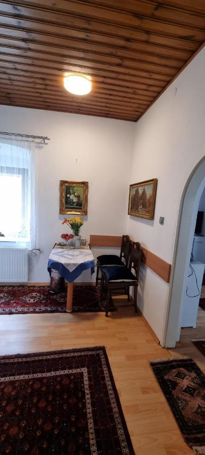 Innenstadtgarten-Wohnung Wolfsberg Bagian luar foto